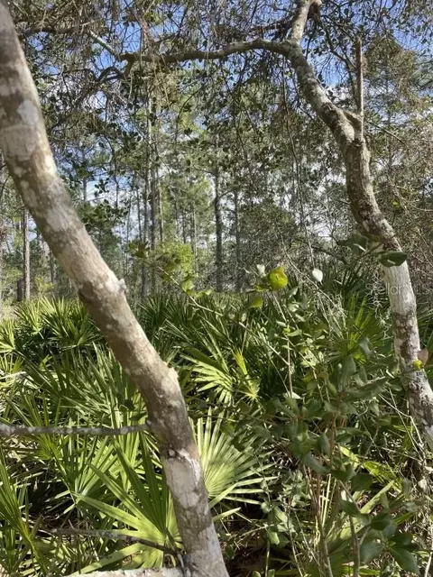 32 Fyfe Ave, Debary, FL 32713 photo 3