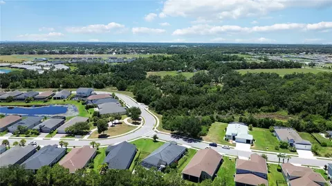 4502 Roycroft Ter, Parrish, FL 34219 photo 49