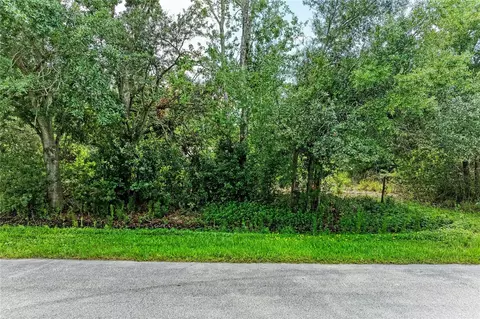 10907 Estates Del Sol Dr, Riverview, FL 33579 photo 6