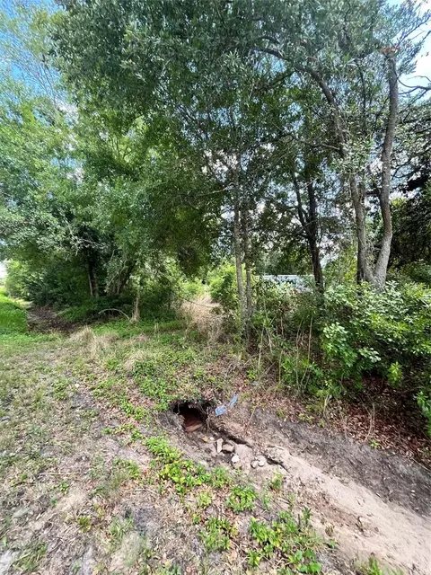 10907 Estates Del Sol Dr, Riverview, FL 33579 photo 5