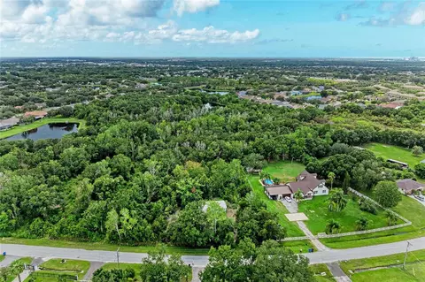 10907 Estates Del Sol Dr, Riverview, FL 33579 photo 13