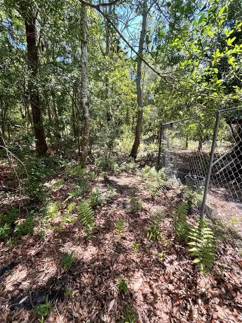 10907 Estates Del Sol Dr, Riverview, FL 33579 photo 2