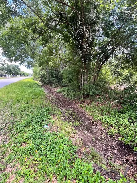 10907 Estates Del Sol Dr, Riverview, FL 33579 photo 4