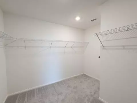 Other - 8807 Sunset Park Trl, Parrish, FL 34219 photo 6 of 9