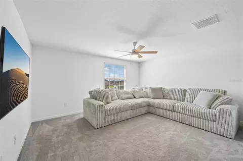 Other - 8807 Sunset Park Trl, Parrish, FL 34219 photo 5 of 9