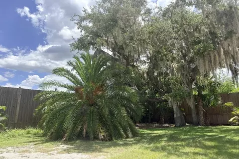 Exterior - 11740 Darsey Rd, Parrish, FL 34219 photo 16 of 18