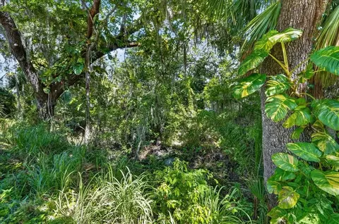 Exterior - 11740 Darsey Rd, Parrish, FL 34219 photo 12 of 18
