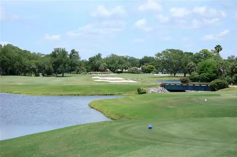 View/Area - 916 Macewen Dr, Osprey, FL 34229 photo 7 of 10