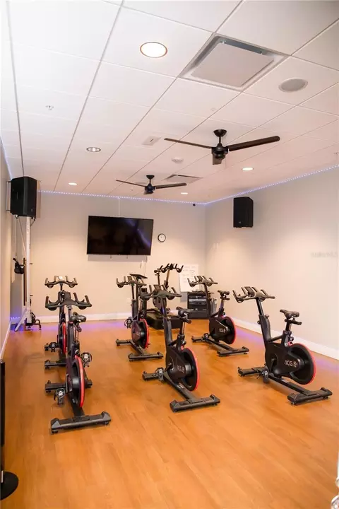 Other - 916 Macewen Dr, Osprey, FL 34229 photo 16 of 18