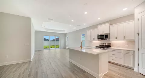4408 Spoon Blade Dr, Parrish, FL 34219 photo 4