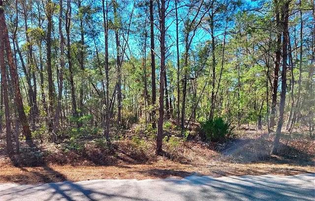 76 Fisher Run Ter, Ocklawaha, FL 32179