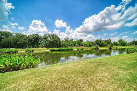 View/Area - 316 Star Shell Dr, Apollo Beach, FL 33572 photo 3 of 11