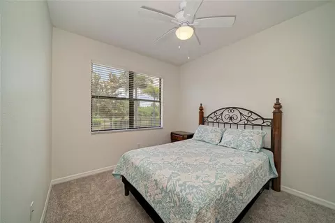 Bedroom - 316 Star Shell Dr, Apollo Beach, FL 33572 photo 7 of 8