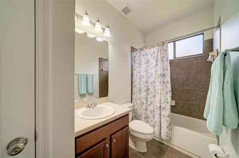 Bath - 316 Star Shell Dr, Apollo Beach, FL 33572 photo 3 of 4