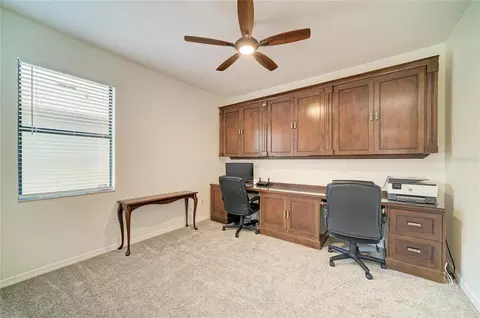 Other - 316 Star Shell Dr, Apollo Beach, FL 33572 photo 3 of 5