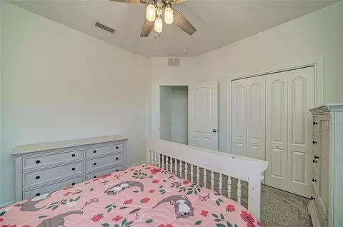 Bedroom - 316 Star Shell Dr, Apollo Beach, FL 33572 photo 5 of 8