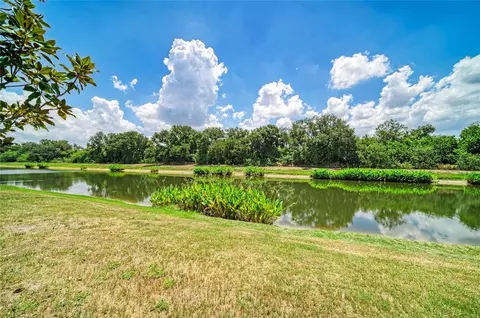 View/Area - 316 Star Shell Dr, Apollo Beach, FL 33572 photo 4 of 11