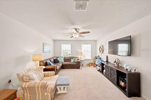11432 64th St E, Parrish, FL 34219 photo 21