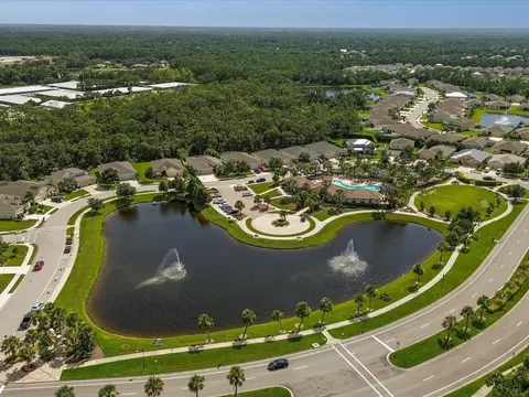 View/Area - 14907 Trinity Fall Way, Bradenton, FL 34212 photo 9 of 17