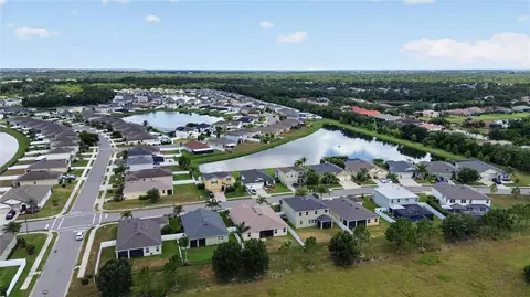 View/Area - 14907 Trinity Fall Way, Bradenton, FL 34212 photo 2 of 17