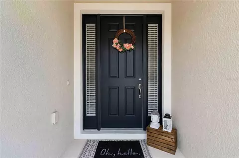 Entry Way - 14907 Trinity Fall Way, Bradenton, FL 34212 photo 1 of 3