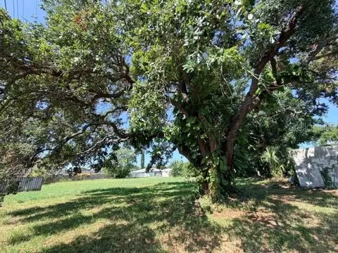 Other - 420 53rd Ave E, Bradenton, FL 34203 photo 25 of 26