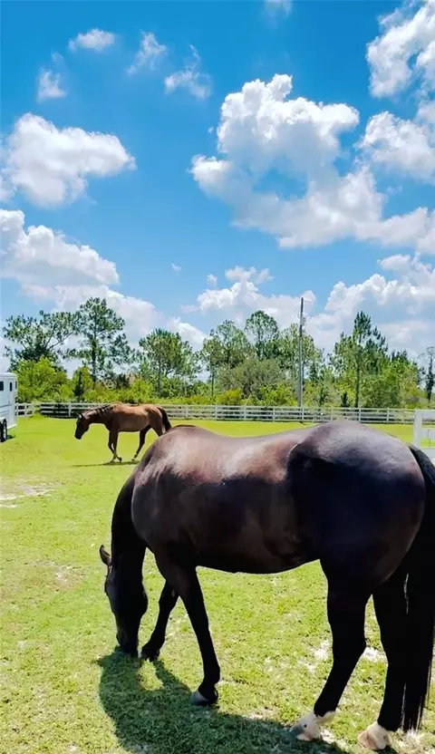 Other - 20207 77th Ave E, Bradenton, FL 34202 photo 21 of 22