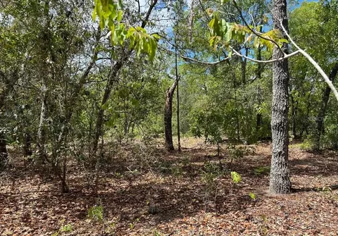 0000 Lady Bug Ln, Melrose, FL 32666 photo 3