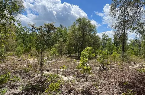 0000 Lady Bug Ln, Melrose, FL 32666 photo 6