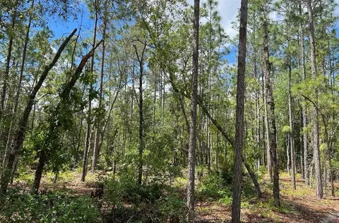 0000 Lady Bug Ln, Melrose, FL 32666 photo 7