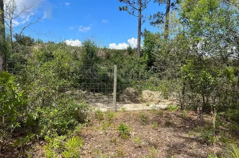 0000 Lady Bug Ln, Melrose, FL 32666 photo 5