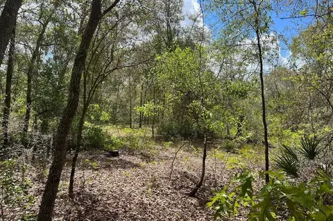 0000 Lady Bug Ln, Melrose, FL 32666 photo 4