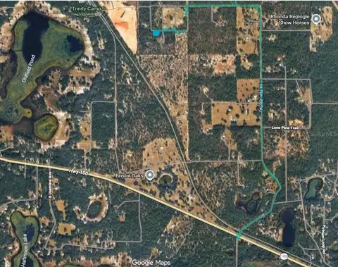 0000 Lady Bug Ln, Melrose, FL 32666 photo 15