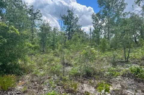 0000 Lady Bug Ln, Melrose, FL 32666 photo 10
