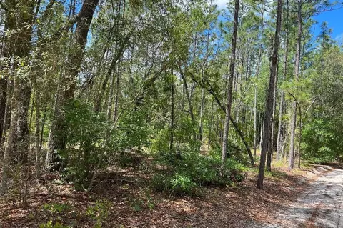 0000 Lady Bug Ln, Melrose, FL 32666 photo 2