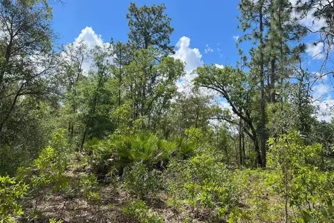 0000 Lady Bug Ln, Melrose, FL 32666 photo 8