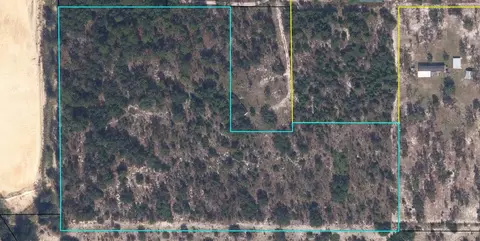 0000 Lady Bug Ln, Melrose, FL 32666 photo 1
