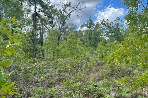 0000 Lady Bug Ln, Melrose, FL 32666 photo 11