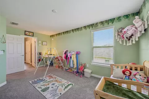 16113 67th Ct E, Parrish, FL 34219 photo 29