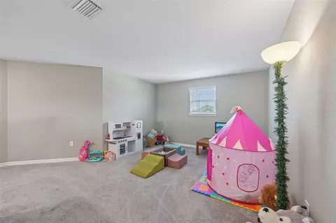 16113 67th Ct E, Parrish, FL 34219 photo 20