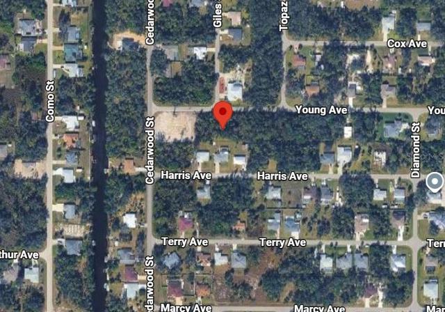 17319 Young Ave, Port Charlotte, FL 33948