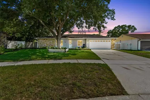16205 Sawgrass Cir, Tampa, FL 33624