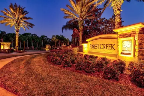 View/Area - 11758 Hidden Forest Loop, Parrish, FL 34219 photo 6 of 16