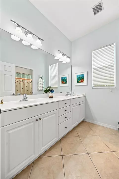 Bath - 11758 Hidden Forest Loop, Parrish, FL 34219 photo 8 of 9