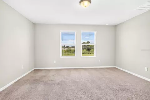 10025 Daybreak Gln, Parrish, FL 34219 photo 29