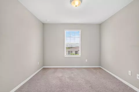 10025 Daybreak Gln, Parrish, FL 34219 photo 52
