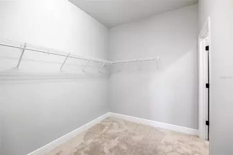 11832 Catawba Cv, Parrish, FL 34219 photo 23