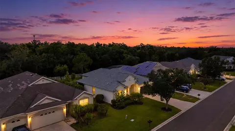 View/Area - 12251 23rd St E, Parrish, FL 34219 photo 4 of 25