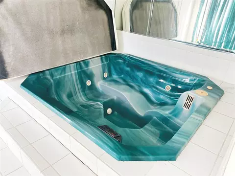 Bath - 936 Allegro Ln, Apollo Beach, FL 33572 photo 6 of 7