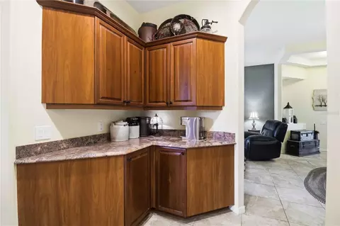 2915 126th Ter E, Parrish, FL 34219 photo 20